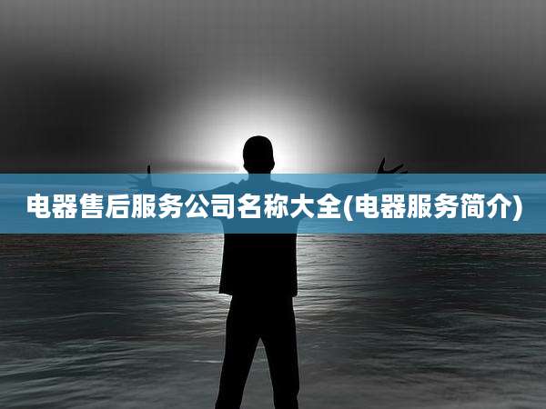 电器售后服务公司名称大全(电器服务简介)