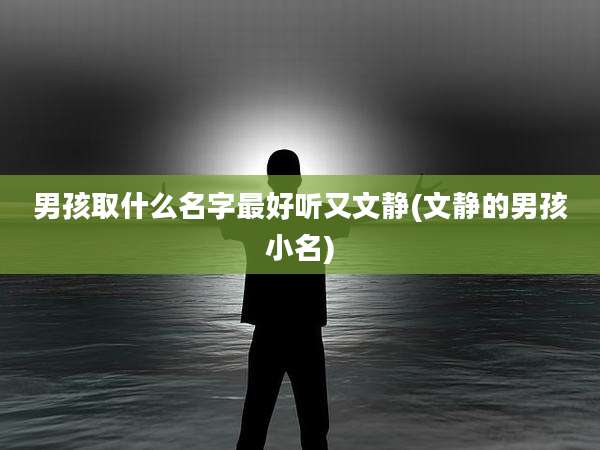 男孩取什么名字最好听又文静(文静的男孩小名)