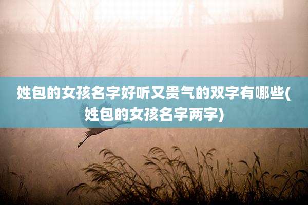 姓包的女孩名字好听又贵气的双字有哪些(姓包的女孩名字两字)