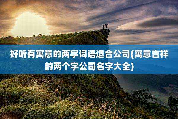 好听有寓意的两字词语适合公司(寓意吉祥的两个字公司名字大全)