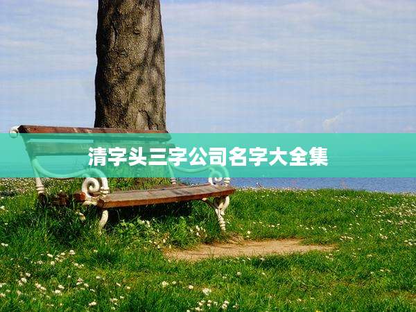 清字头三字公司名字大全集