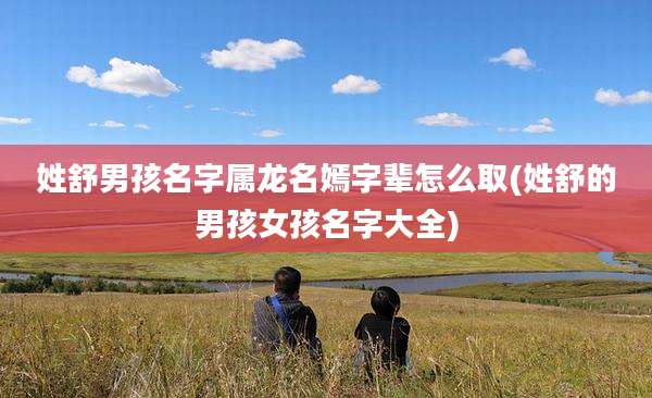 姓舒男孩名字属龙名嫣字辈怎么取(姓舒的男孩女孩名字大全)