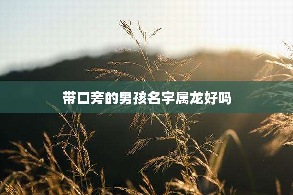 带口旁的男孩名字属龙好吗