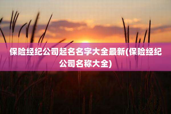 保险经纪公司起名名字大全最新(保险经纪公司名称大全)