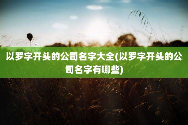 以罗字开头的公司名字大全(以罗字开头的公司名字有哪些)
