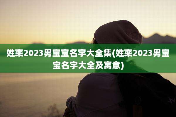 姓栾2023男宝宝名字大全集(姓栾2023男宝宝名字大全及寓意)