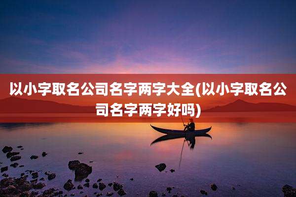 以小字取名公司名字两字大全(以小字取名公司名字两字好吗)