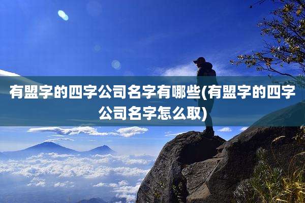有盟字的四字公司名字有哪些(有盟字的四字公司名字怎么取)