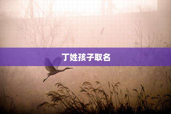 丁姓孩子取名
