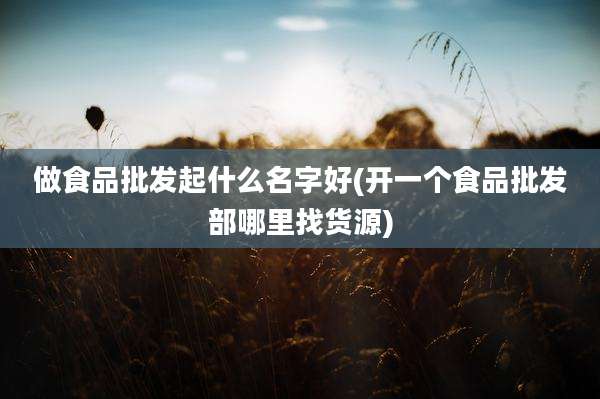 做食品批发起什么名字好(开一个食品批发部哪里找货源)