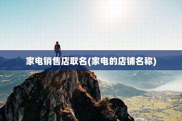家电销售店取名(家电的店铺名称)