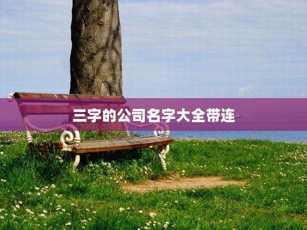 三字的公司名字大全带连