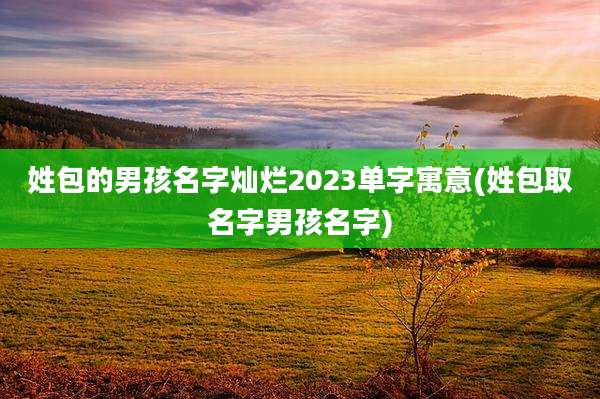 姓包的男孩名字灿烂2023单字寓意(姓包取名字男孩名字)