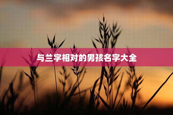 与兰字相对的男孩名字大全