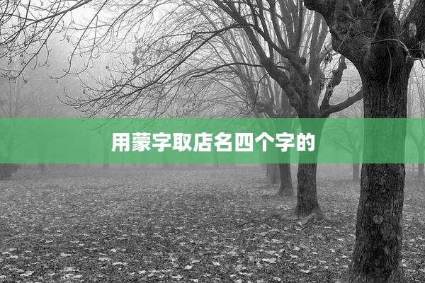 用蒙字取店名四个字的