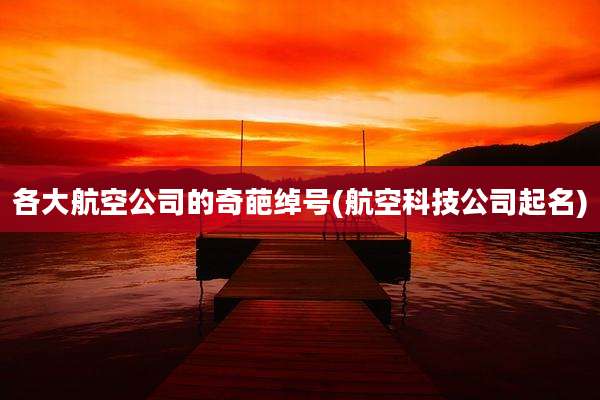 各大航空公司的奇葩绰号(航空科技公司起名)