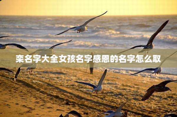 栾名字大全女孩名字感恩的名字怎么取