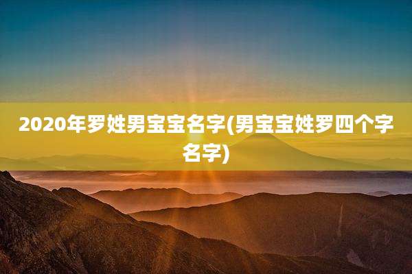 2020年罗姓男宝宝名字(男宝宝姓罗四个字名字)