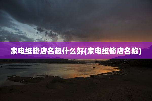 家电维修店名起什么好(家电维修店名称)