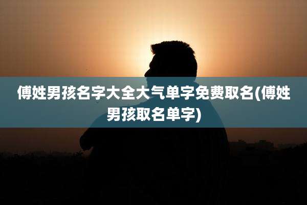 傅姓男孩名字大全大气单字免费取名(傅姓男孩取名单字)