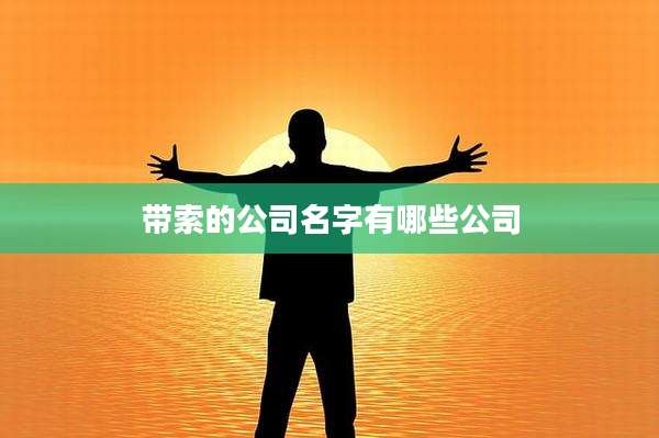 带索的公司名字有哪些公司