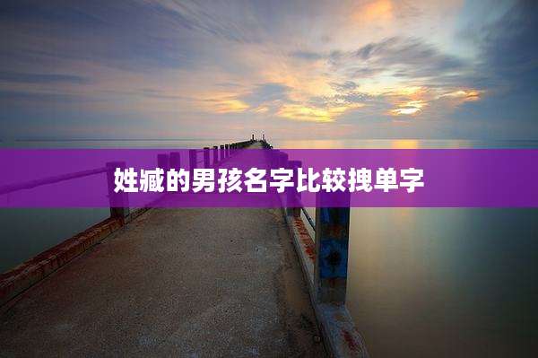 姓臧的男孩名字比较拽单字