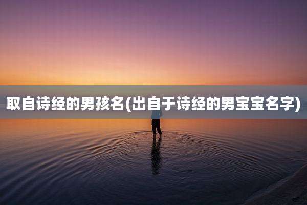 取自诗经的男孩名(出自于诗经的男宝宝名字)