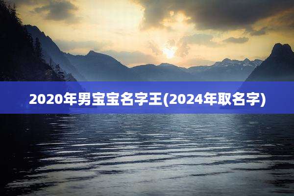 2020年男宝宝名字王(2024年取名字)