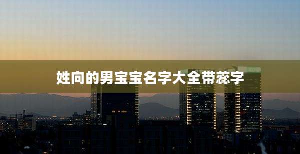 姓向的男宝宝名字大全带蕊字