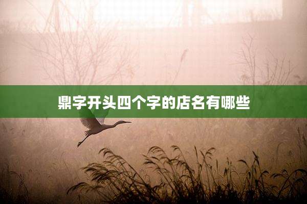 鼎字开头四个字的店名有哪些