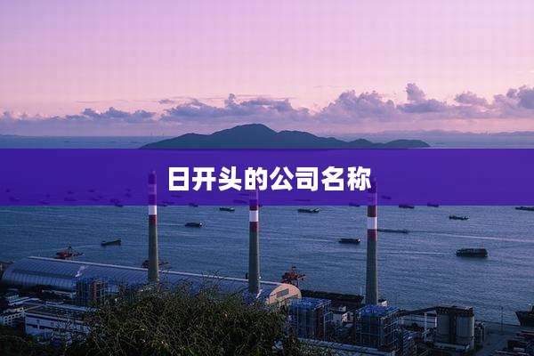 日开头的公司名称