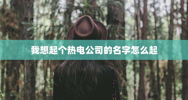 我想起个热电公司的名字怎么起