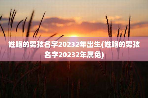姓鲍的男孩名字20232年出生(姓鲍的男孩名字20232年属兔)