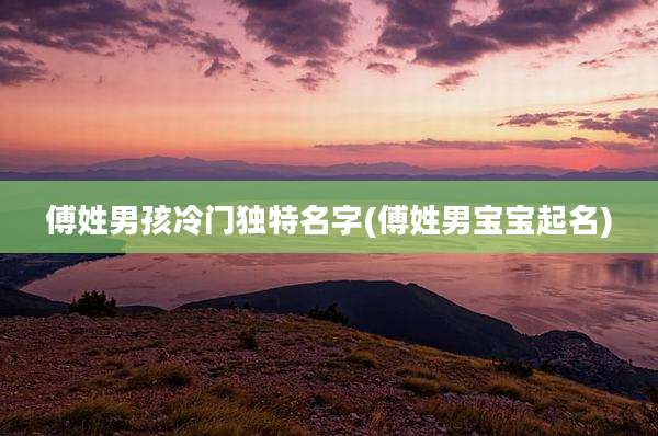 傅姓男孩冷门独特名字(傅姓男宝宝起名)