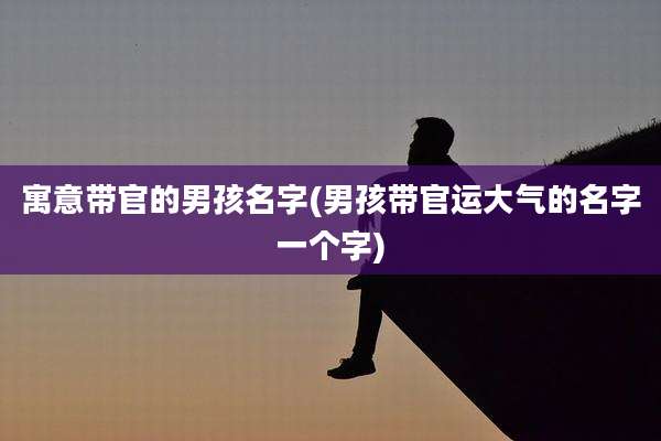 寓意带官的男孩名字(男孩带官运大气的名字一个字)