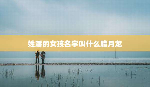 姓潘的女孩名字叫什么腊月龙
