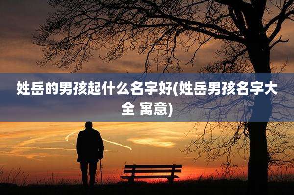 姓岳的男孩起什么名字好(姓岳男孩名字大全 寓意)