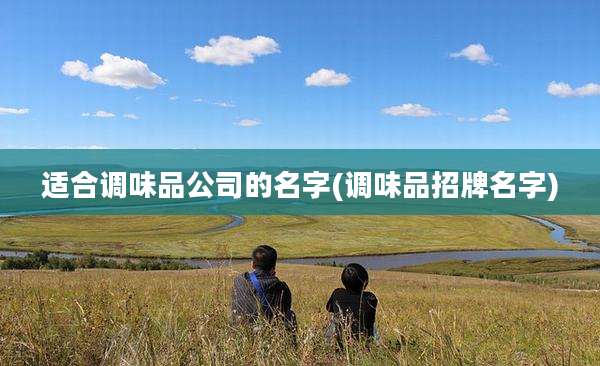 适合调味品公司的名字(调味品招牌名字)