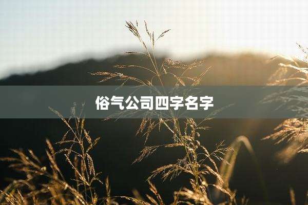 俗气公司四字名字