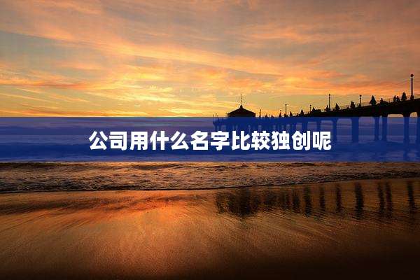 公司用什么名字比较独创呢