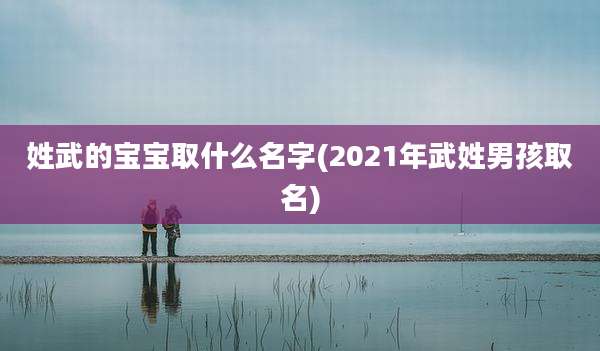 姓武的宝宝取什么名字(2021年武姓男孩取名)