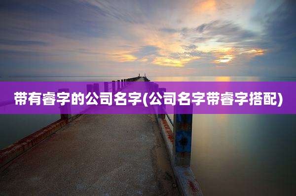带有睿字的公司名字(公司名字带睿字搭配)