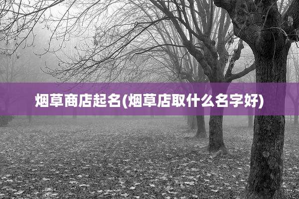 烟草商店起名(烟草店取什么名字好)