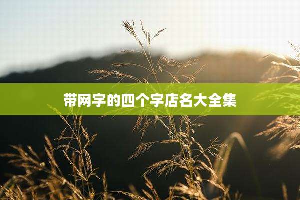 带网字的四个字店名大全集