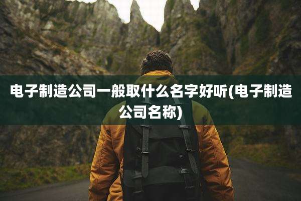 电子制造公司一般取什么名字好听(电子制造公司名称)