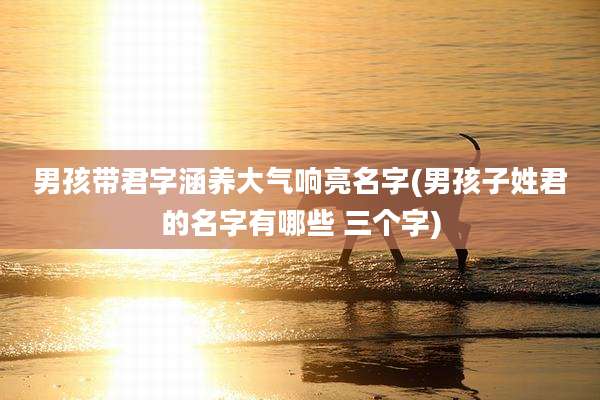 男孩带君字涵养大气响亮名字(男孩子姓君的名字有哪些 三个字)