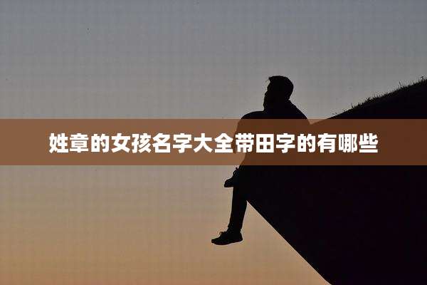 姓章的女孩名字大全带田字的有哪些