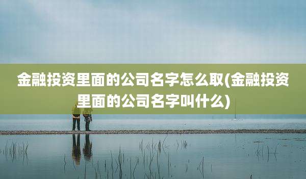 金融投资里面的公司名字怎么取(金融投资里面的公司名字叫什么)