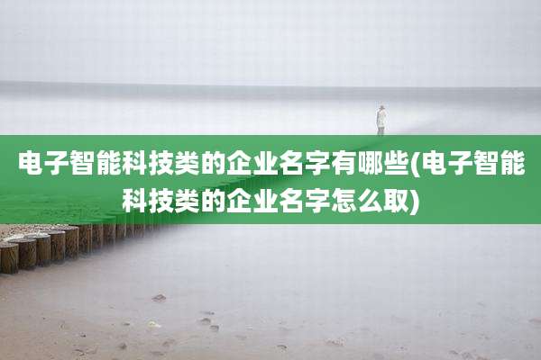 电子智能科技类的企业名字有哪些(电子智能科技类的企业名字怎么取)