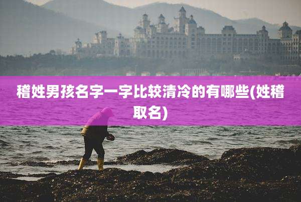稽姓男孩名字一字比较清冷的有哪些(姓稽取名)